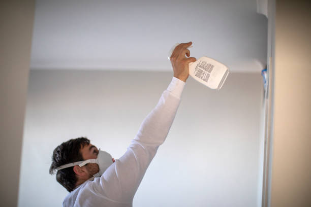 Best Mold Removal and Inspection  in El Paso, IL
